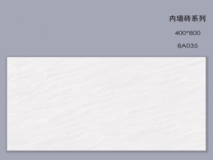 400*800 mm Wall and Floor Ceramic Tile