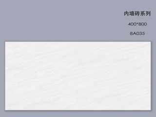 400*800 mm Wall and Floor Ceramic Tile